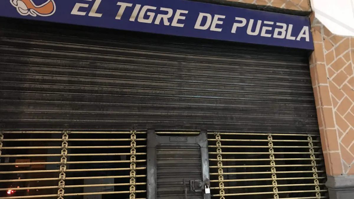 EL TIGRE1